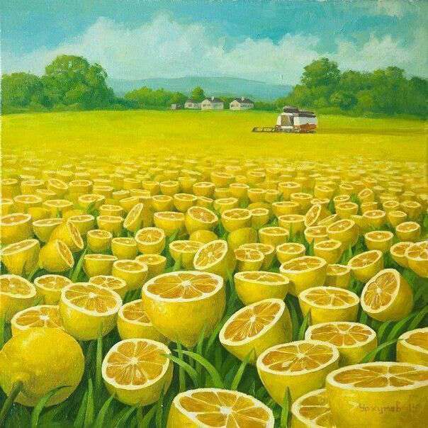 مزرعه لیمو